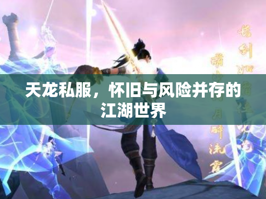 天龙私服，怀旧与风险并存的江湖世界