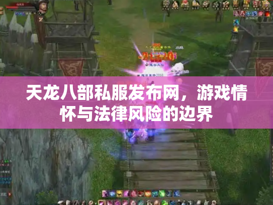 天龙八部私服发布网，游戏情怀与法律风险的边界