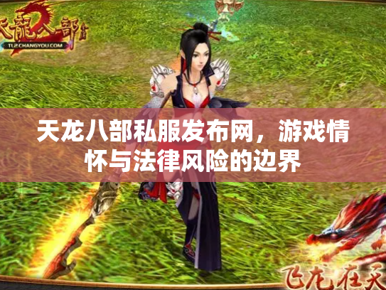天龙八部私服发布网，游戏情怀与法律风险的边界