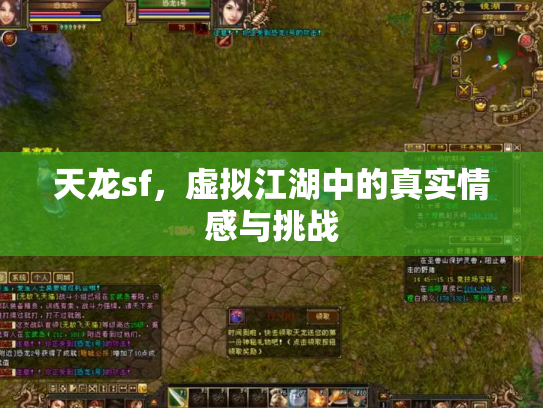 天龙sf，虚拟江湖中的真实情感与挑战