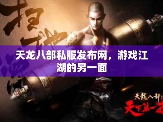 天龙八部私服发布网，游戏江湖的另一面