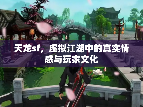 天龙sf，虚拟江湖中的真实情感与玩家文化