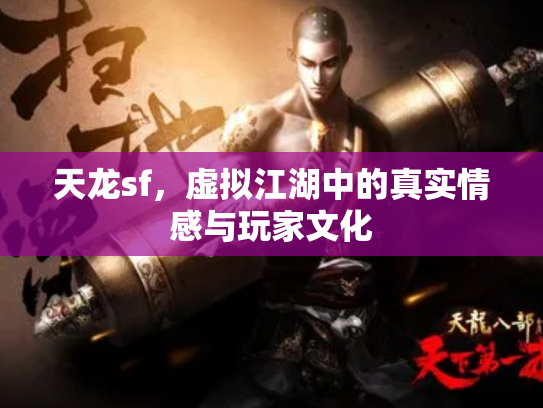 天龙sf，虚拟江湖中的真实情感与玩家文化
