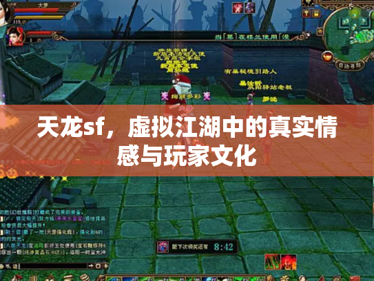 天龙sf，虚拟江湖中的真实情感与玩家文化