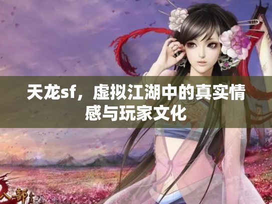 天龙sf，虚拟江湖中的真实情感与玩家文化