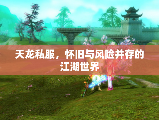 天龙私服，怀旧与风险并存的江湖世界