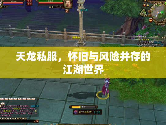 天龙私服，怀旧与风险并存的江湖世界