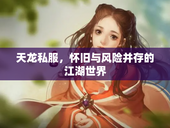天龙私服，怀旧与风险并存的江湖世界
