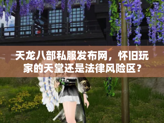 天龙八部私服发布网，怀旧玩家的天堂还是法律风险区？