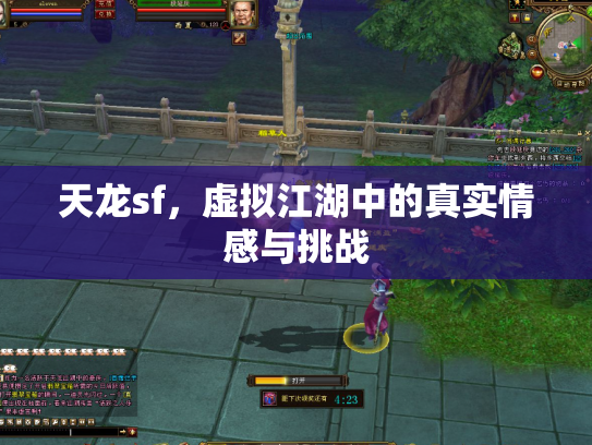 天龙sf，虚拟江湖中的真实情感与挑战