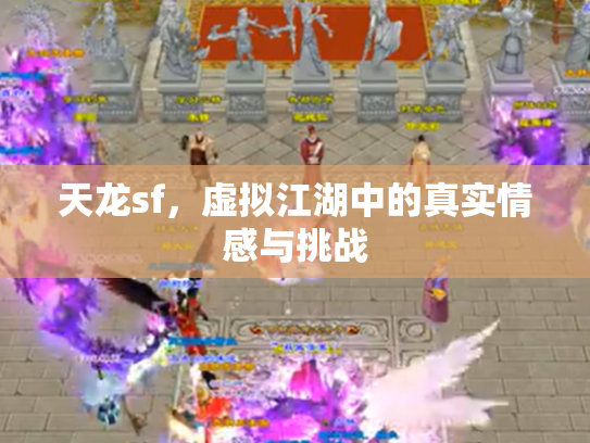 天龙sf，虚拟江湖中的真实情感与挑战