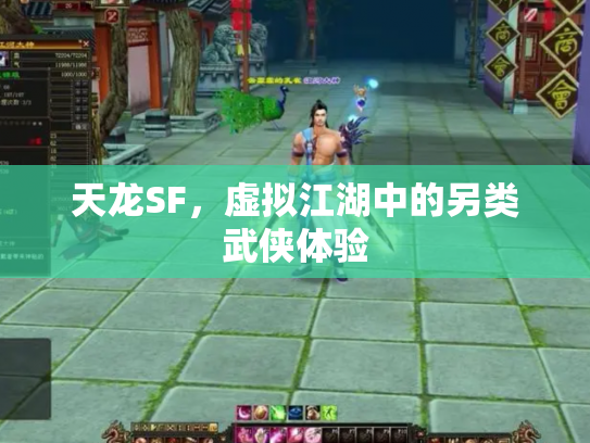 天龙SF，虚拟江湖中的另类武侠体验