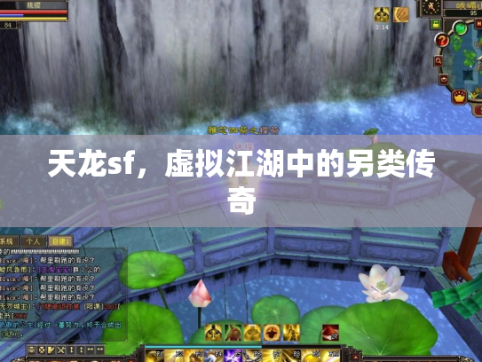 天龙sf，虚拟江湖中的另类传奇