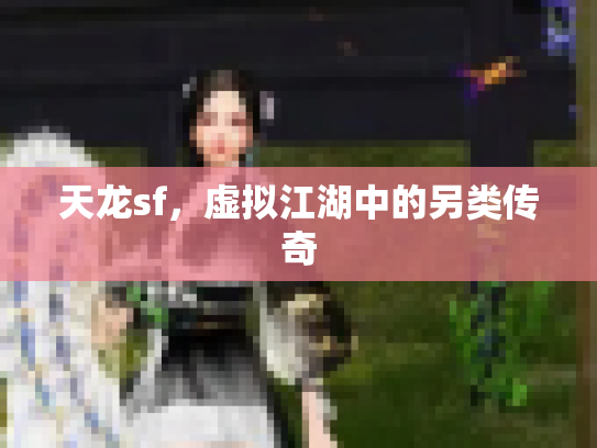 天龙sf，虚拟江湖中的另类传奇