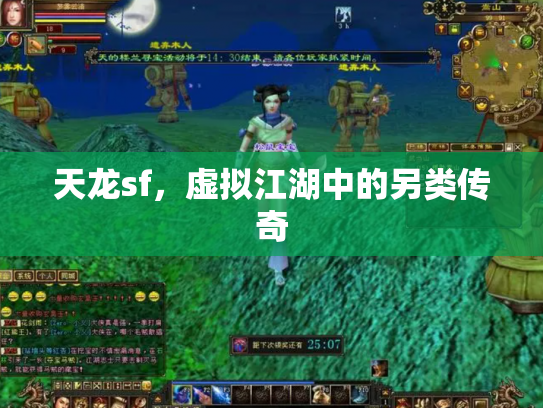 天龙sf，虚拟江湖中的另类传奇