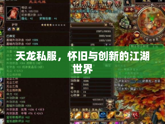 天龙私服，怀旧与创新的江湖世界