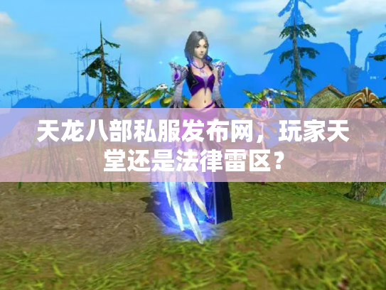 天龙八部私服发布网，玩家天堂还是法律雷区？