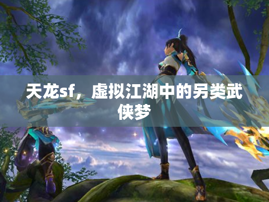 天龙sf，虚拟江湖中的另类武侠梦
