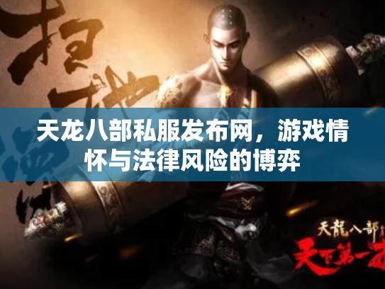 天龙八部私服发布网，游戏情怀与法律风险的博弈
