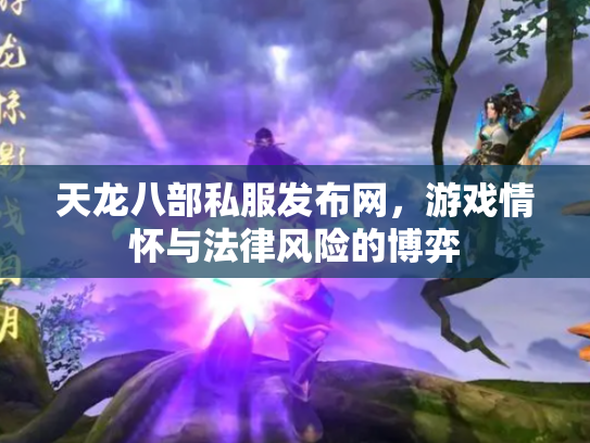 天龙八部私服发布网，游戏情怀与法律风险的博弈
