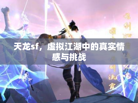 天龙sf，虚拟江湖中的真实情感与挑战