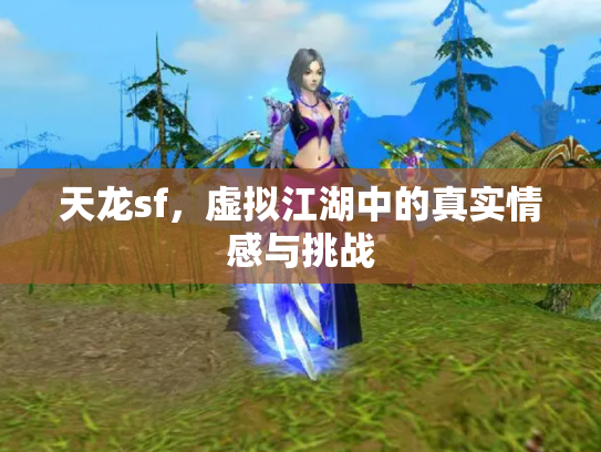 天龙sf，虚拟江湖中的真实情感与挑战