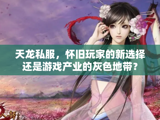 天龙私服，怀旧玩家的新选择还是游戏产业的灰色地带？