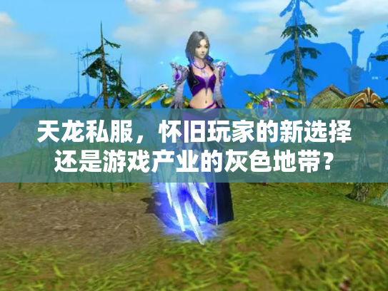 天龙私服，怀旧玩家的新选择还是游戏产业的灰色地带？
