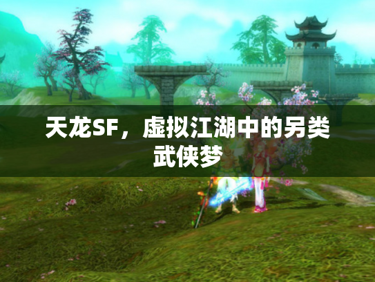 天龙SF，虚拟江湖中的另类武侠梦