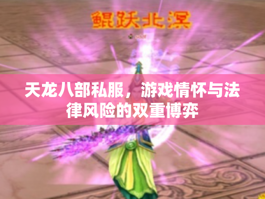 天龙八部私服，游戏情怀与法律风险的双重博弈