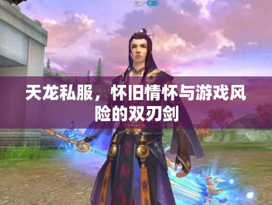 天龙私服，怀旧情怀与游戏风险的双刃剑