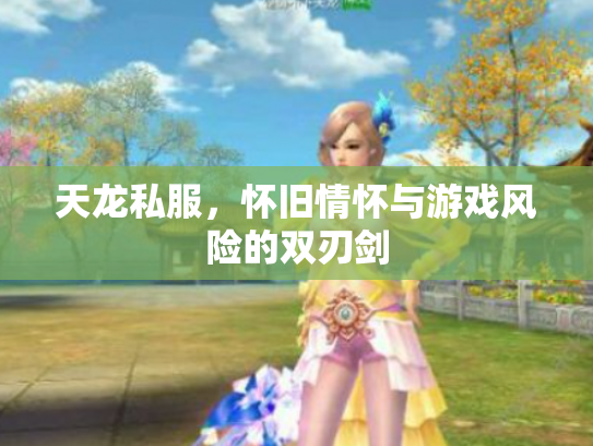 天龙私服，怀旧情怀与游戏风险的双刃剑