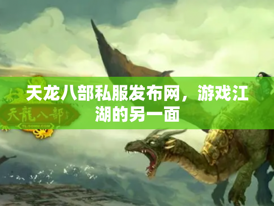 天龙八部私服发布网，游戏江湖的另一面