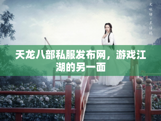 天龙八部私服发布网，游戏江湖的另一面