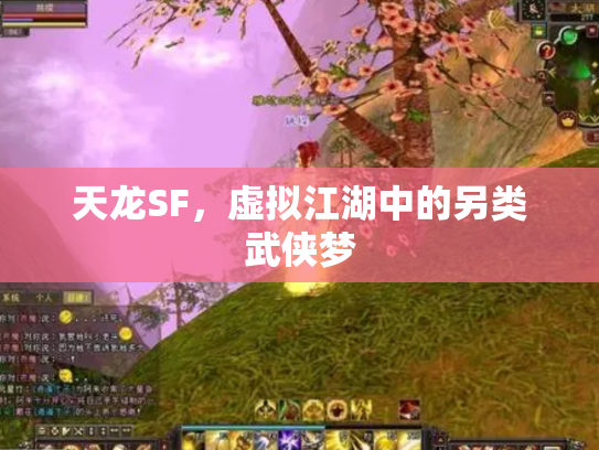 天龙SF，虚拟江湖中的另类武侠梦