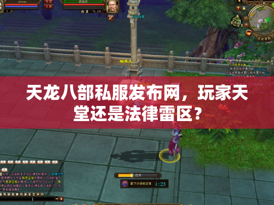 天龙八部私服发布网，玩家天堂还是法律雷区？