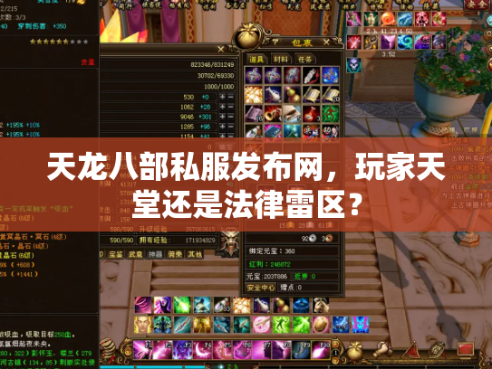天龙八部私服发布网，玩家天堂还是法律雷区？