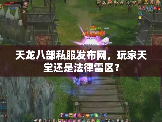 天龙八部私服发布网，玩家天堂还是法律雷区？