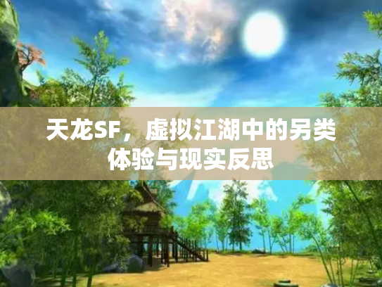 天龙SF，虚拟江湖中的另类体验与现实反思