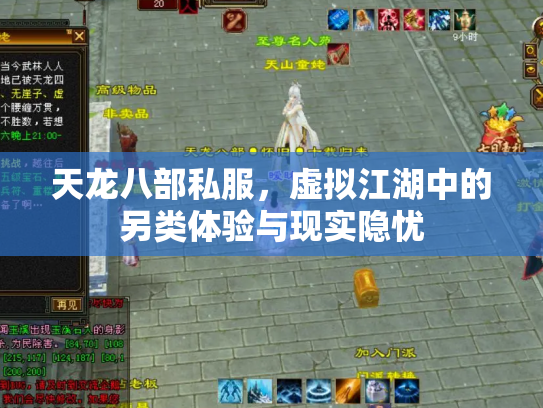 天龙八部私服，虚拟江湖中的另类体验与现实隐忧