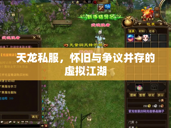 天龙私服，怀旧与争议并存的虚拟江湖