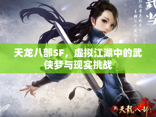 天龙八部SF，虚拟江湖中的武侠梦与现实挑战