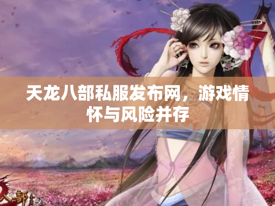 天龙八部私服发布网，游戏情怀与风险并存