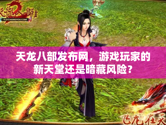 天龙八部发布网，游戏玩家的新天堂还是暗藏风险？