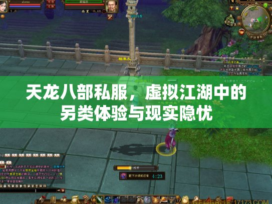 天龙八部私服，虚拟江湖中的另类体验与现实隐忧