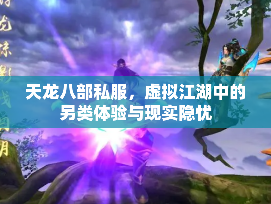 天龙八部私服，虚拟江湖中的另类体验与现实隐忧