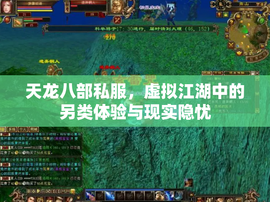 天龙八部私服，虚拟江湖中的另类体验与现实隐忧