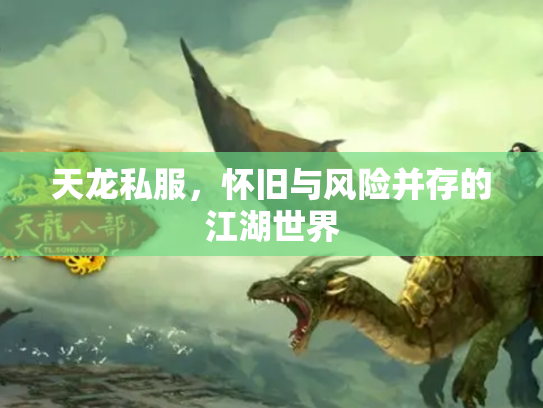 天龙私服，怀旧与风险并存的江湖世界