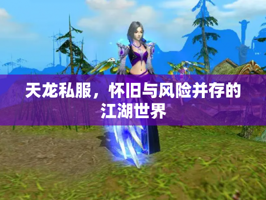 天龙私服，怀旧与风险并存的江湖世界