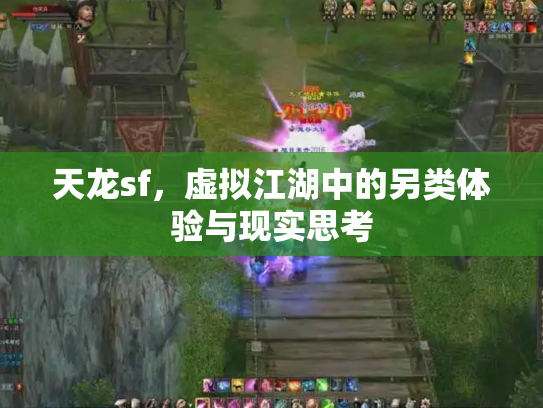 天龙sf，虚拟江湖中的另类体验与现实思考